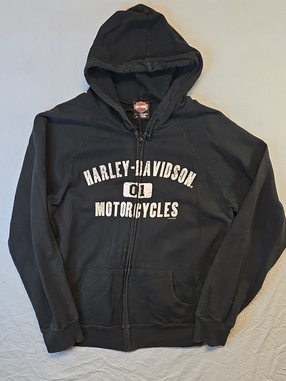 Harley-Davidson Calgary 2003 Black Full Zip Spellout Logo Hoodie Vintage Y2K